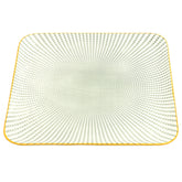 10Inch Flat Plate 100FP 2009# 10237963