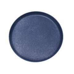 Dinner Plate 10.5" W5-1