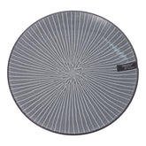 T31-01 10.75 GWL Dinner Plate DH