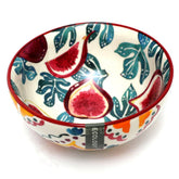 Fig Bowl Ecology.Large
