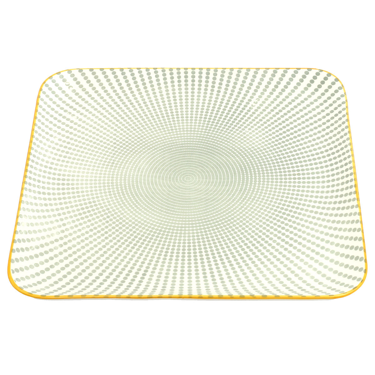 10Inch Flat Plate 100FP 2009# 10237963