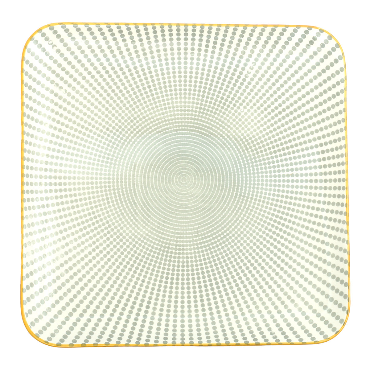 10Inch Flat Plate 100FP 2009# 10237963