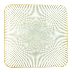 10Inch Flat Plate 100FP 2009# 10237963