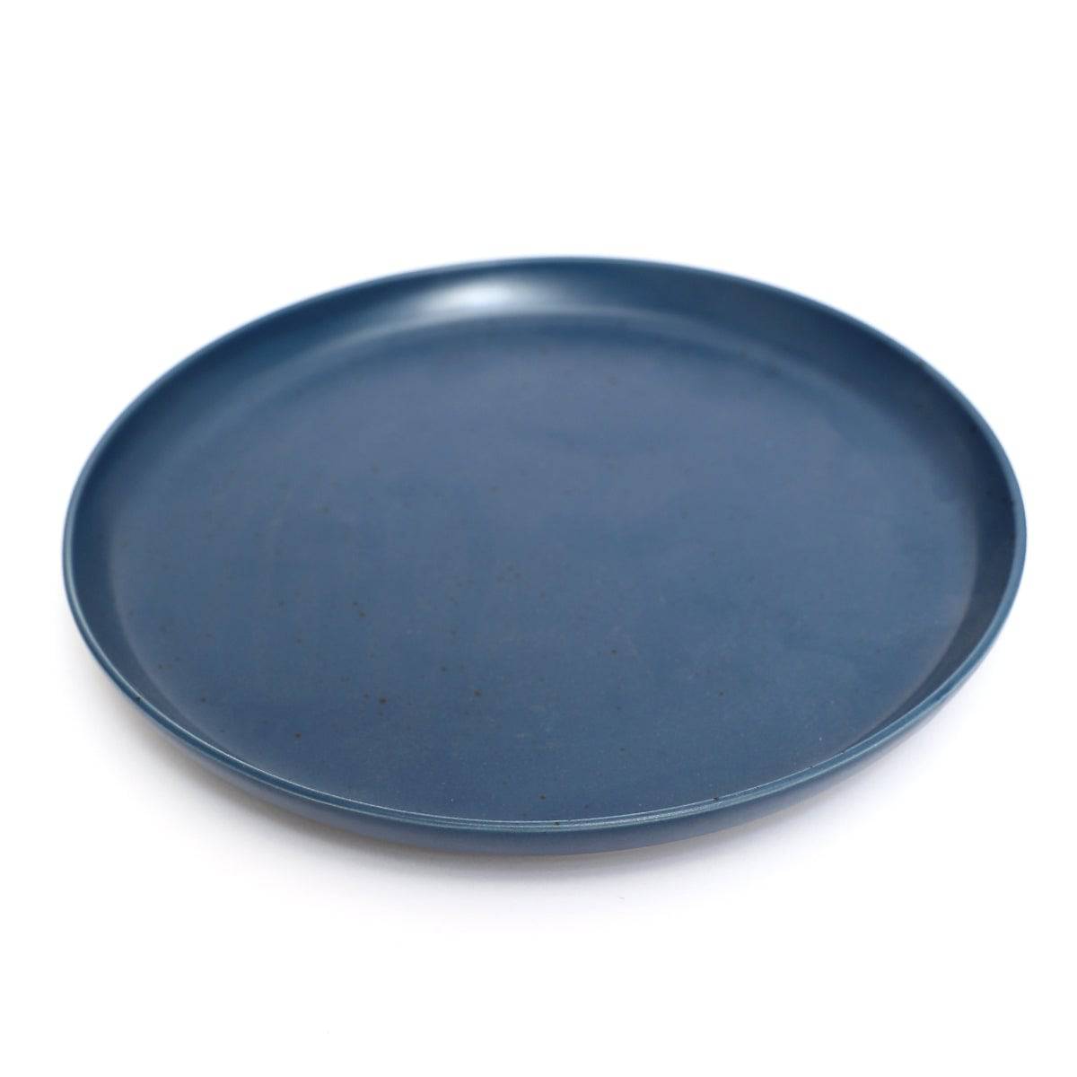 Dinner Plate 10.5" W5-1