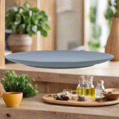 Dinner Plate.Gray. ALX