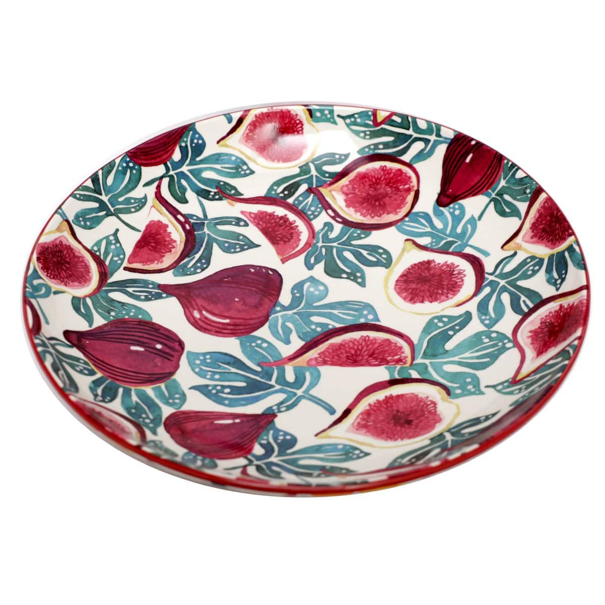 Fig Dinner Plate Ecology.Large